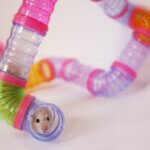 are plastic tubes bad for hamsters?