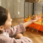 do hamsters know who their owners are?