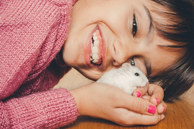 do hamsters love their owners?