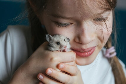 how can you tell if your hamster loves you?